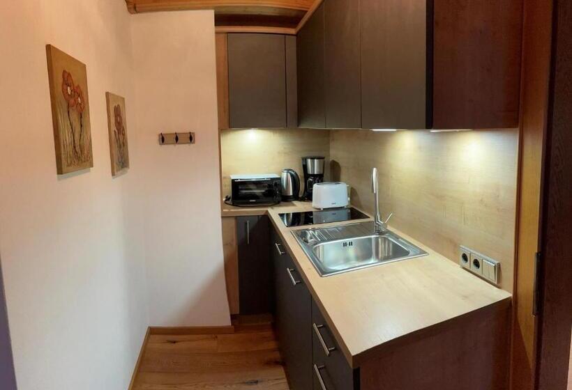 Студия Стандарт, Otto Steiner Appartements Pension Ellmau & Wilder Kaiser