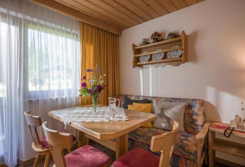 Апартаменты 1 Спальня, Otto Steiner Appartements Pension Ellmau & Wilder Kaiser