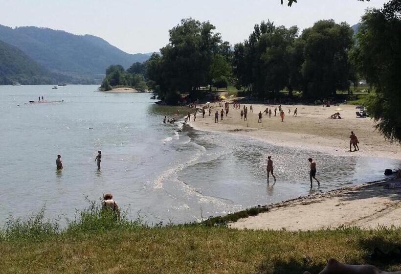 テラス付きスタンダードルーム, Donauwirt   Hotel Garni
