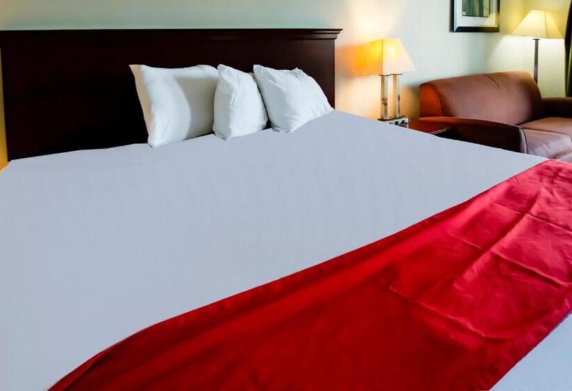 스탠다드 룸 킹사이즈 침대, Cypress Inn & Suites