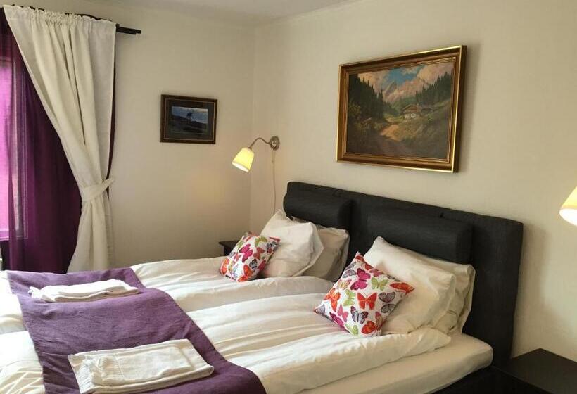 غرفة أساسية, Böda Hotell