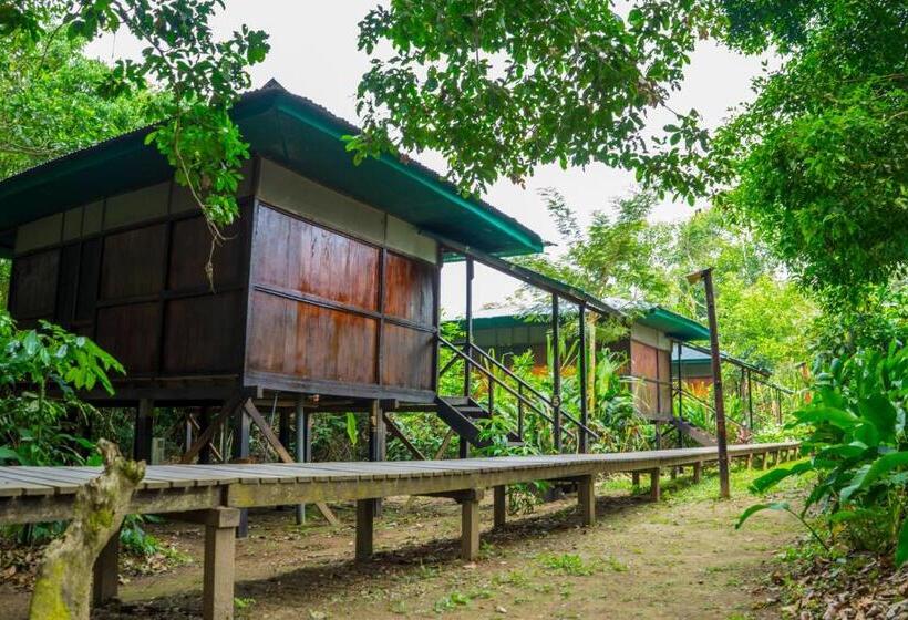 Superior Room with Terrace, Amazon Planet