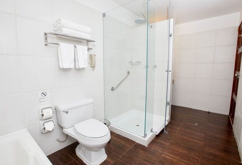 سوییت جونیور, Casa Andina Premium Arequipa