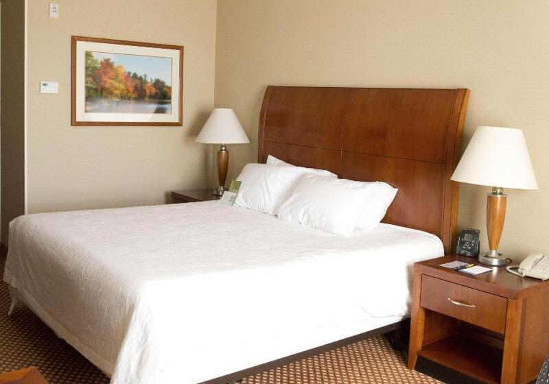 اتاق استاندارد با تخت بزرگ, Hilton Garden Inn Laramie