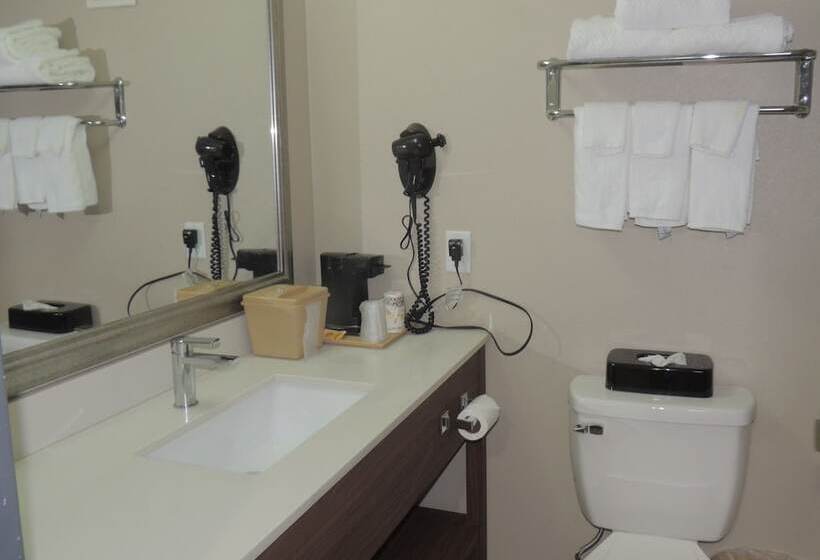 Номер Стандарт 2 Двуспальные Кровати, Quality Inn