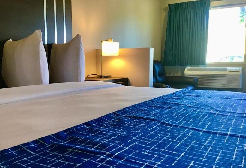Номер Стандарт, Travelodge Inn & Suites By Wyndham Missoula University Park