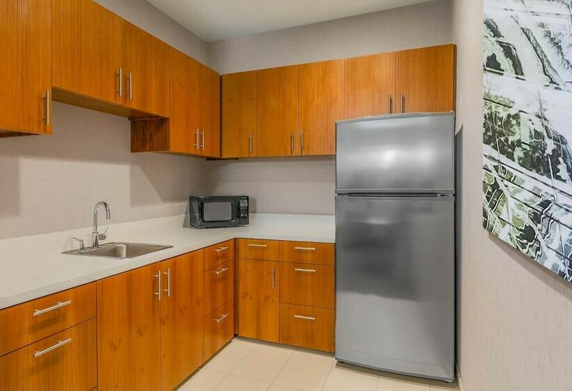 スイート, Springhill Suites By Marriott San Jose Fremont