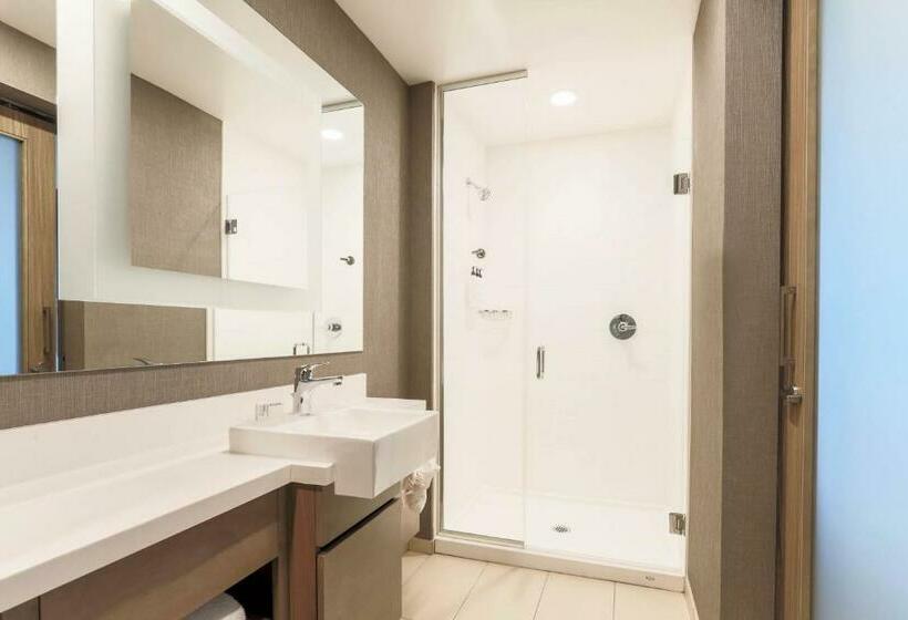 スイート, Springhill Suites By Marriott San Jose Fremont