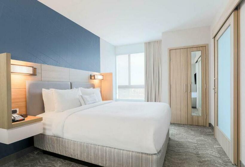 マウンテンビュースイート, Springhill Suites By Marriott San Jose Fremont
