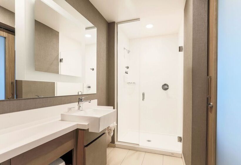 スイート, Springhill Suites By Marriott San Jose Fremont