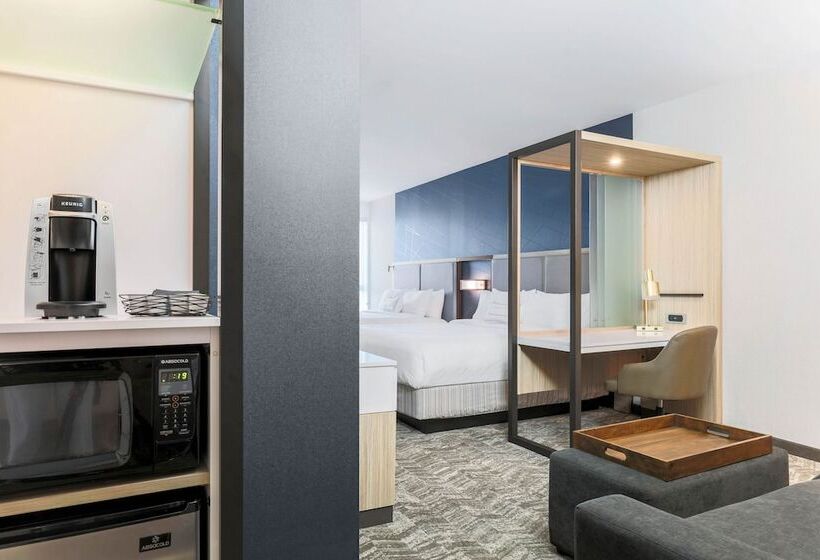 スイート, Springhill Suites By Marriott San Jose Fremont