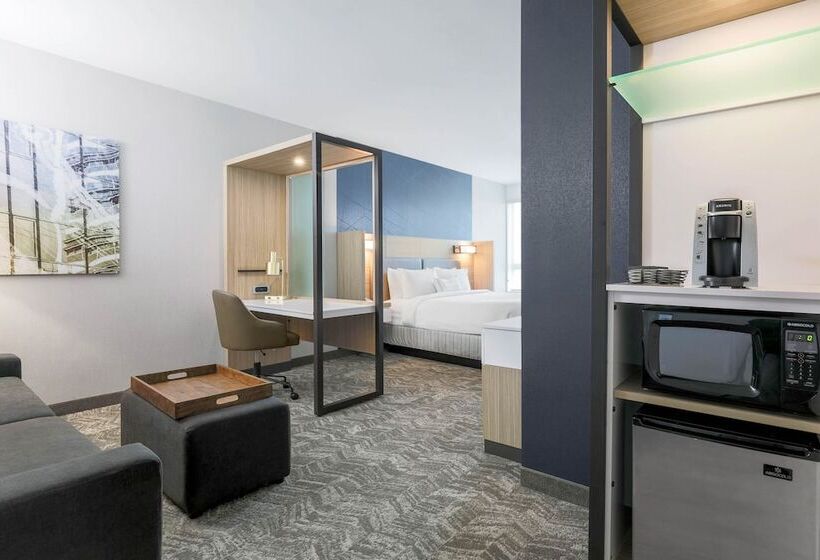 スイート, Springhill Suites By Marriott San Jose Fremont