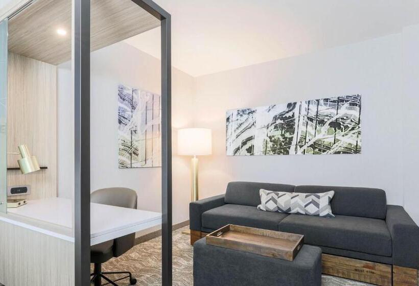 身障者適用スイートルーム, Springhill Suites By Marriott San Jose Fremont