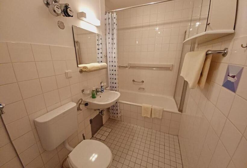 Апартаменты 1 Спальня, Altstadthotel Garni Frankfurter Hof