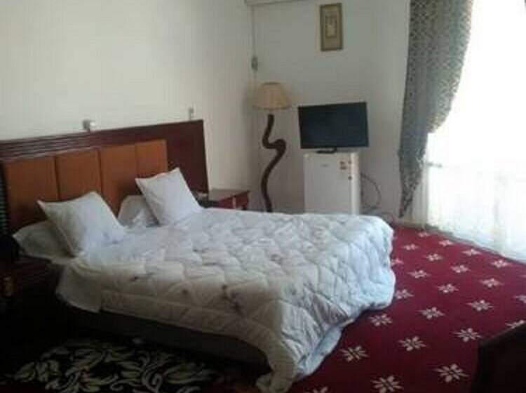 اتاق استاندارد یک نفره, Mimosa Palace Annaba