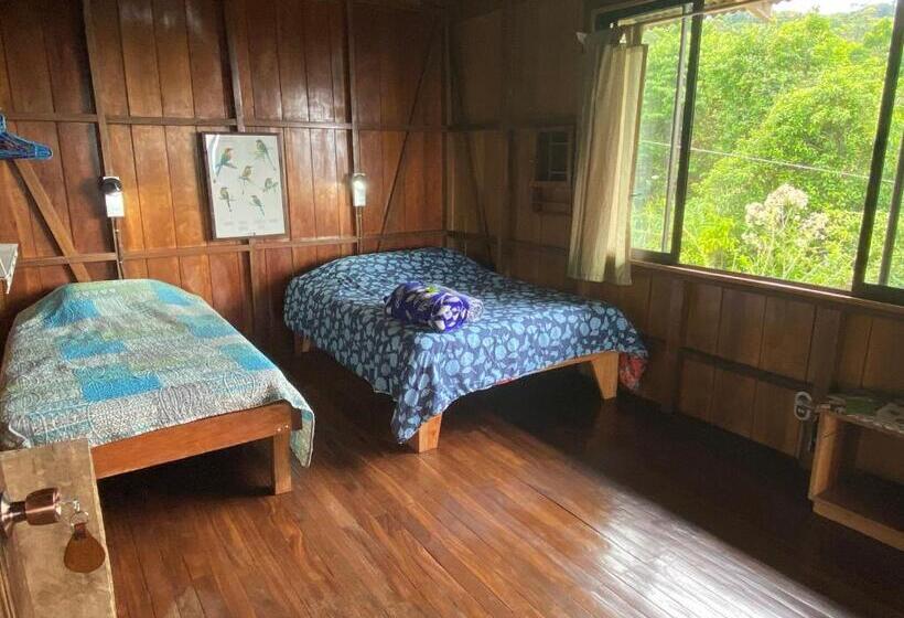 스탠다드 발코니 룸, Birds & Breakfast Costa Rica