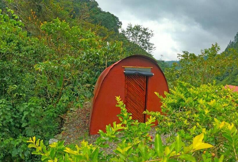 Номер Стандарт, Termales El Escondite