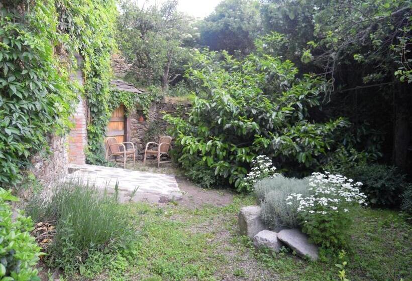 Студия Стандарт, Hostal D éller