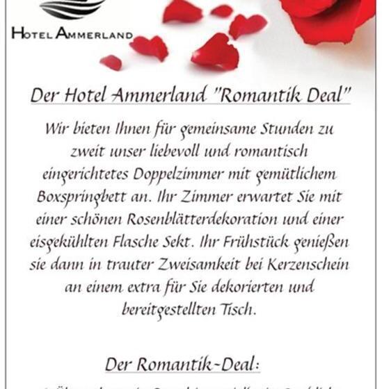 Номер Deluxe, Ammerland Garni
