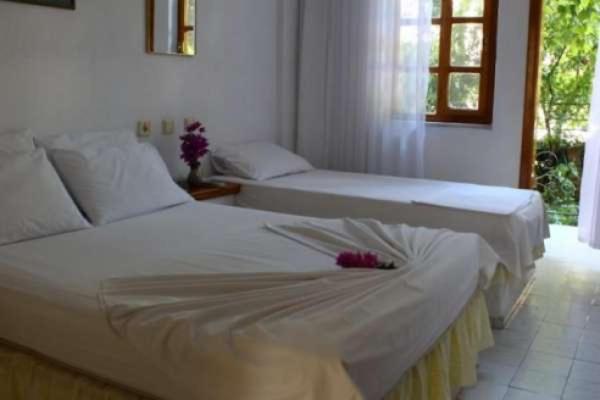 اتاق استاندارد, Rose Pension