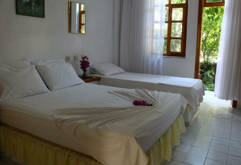 اتاق استاندارد سه نفره, Rose Pension