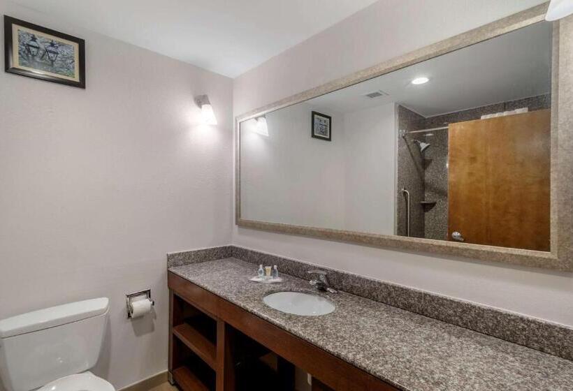 Президентский Люкс, Comfort Suites