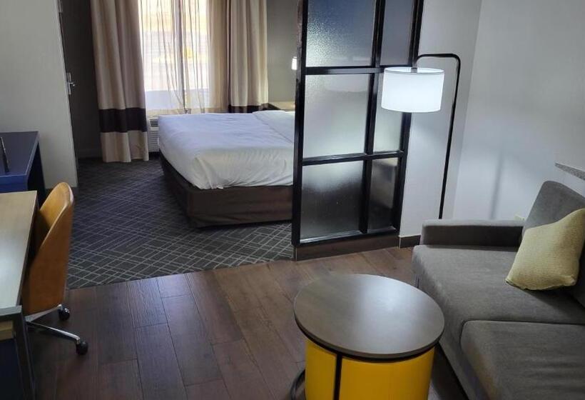 Люкс Адаптированный для Инвалидов, Comfort Suites
