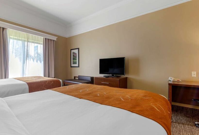 Люкс, Comfort Suites Savannah North