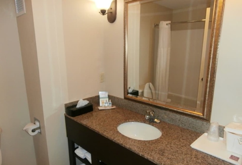 Люкс Кровать Кинг, Comfort Suites Savannah North