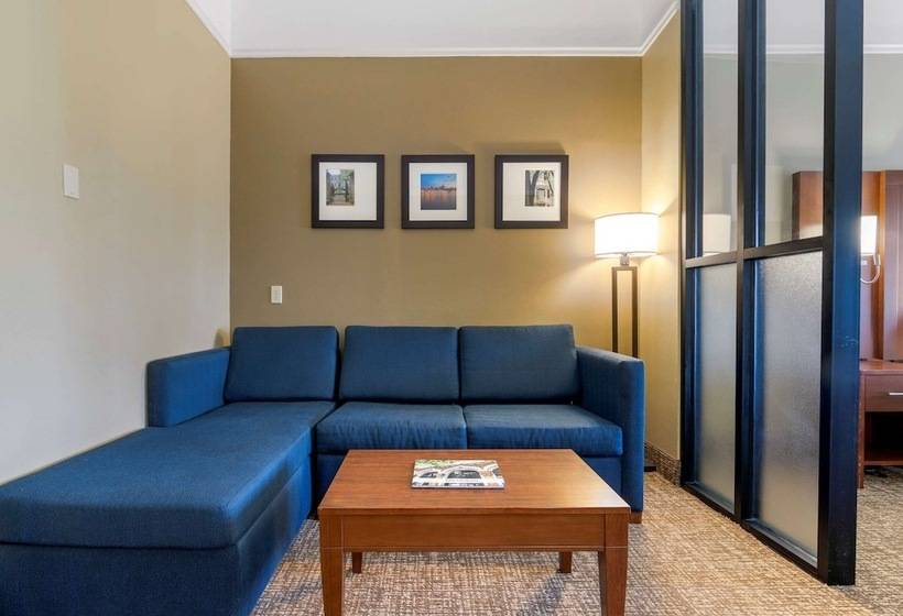 Люкс Кровать Кинг, Comfort Suites Savannah North