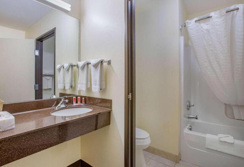 اتاق استاندارد با 2 تخت دوبل, Econo Lodge Inn & Suites Fairgrounds