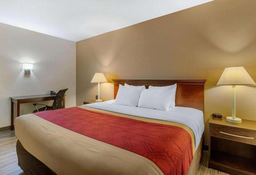 اتاق استاندارد با تخت بزرگ, Econo Lodge Inn & Suites Fairgrounds