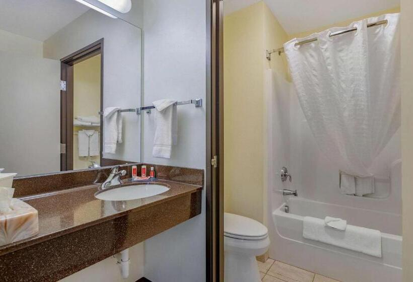 اتاق استاندارد با تخت بزرگ, Econo Lodge Inn & Suites Fairgrounds