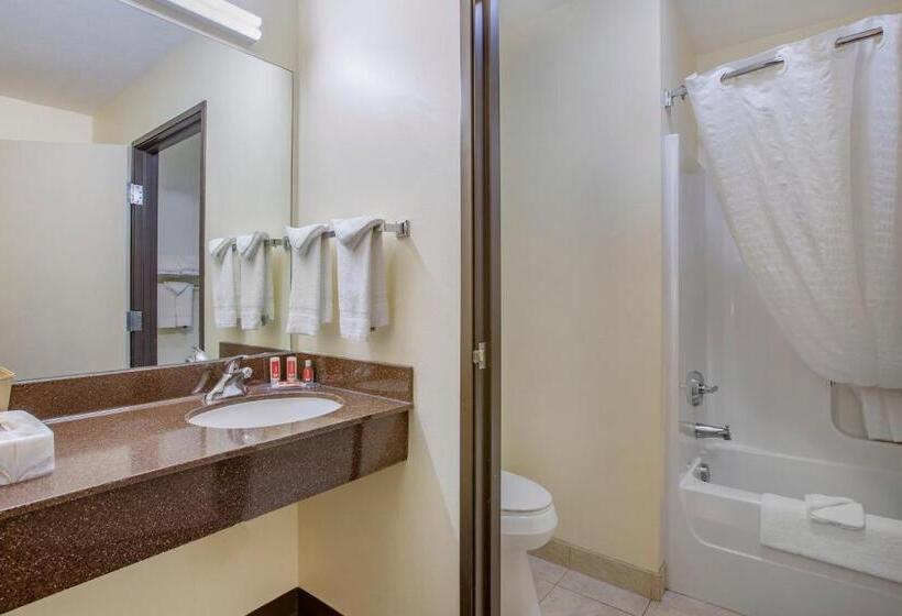 اتاق استاندارد با تخت بزرگ برای معلولان, Econo Lodge Inn & Suites Fairgrounds