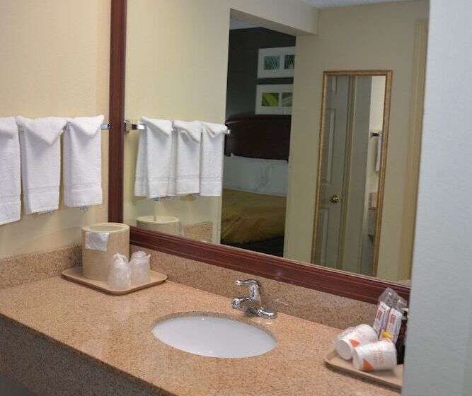 스위트, Quality Inn And Suites Dublin