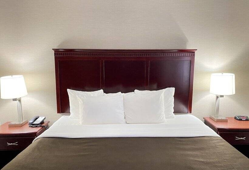 Люкс, Clarion Inn & Suites Airport