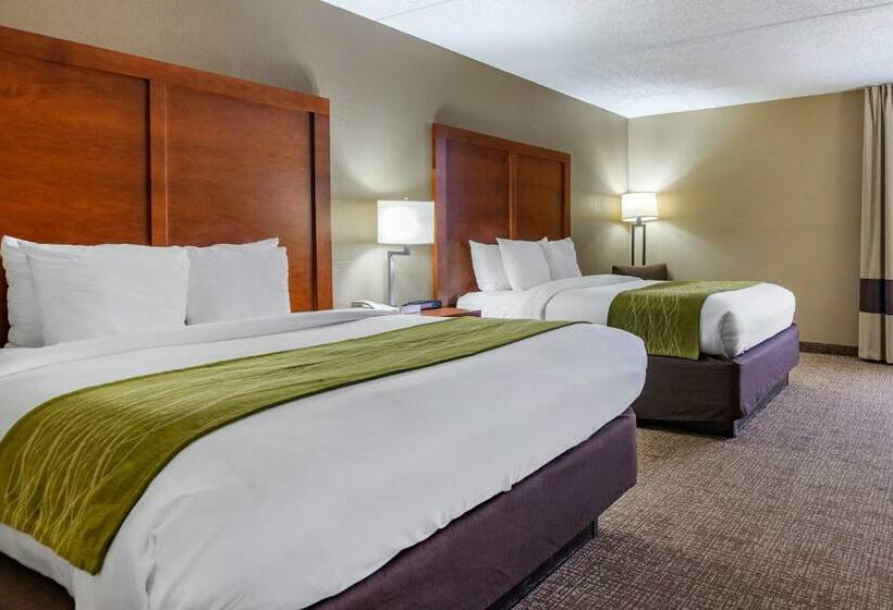 Номер Стандарт, Comfort Inn Matthews / Charlotte