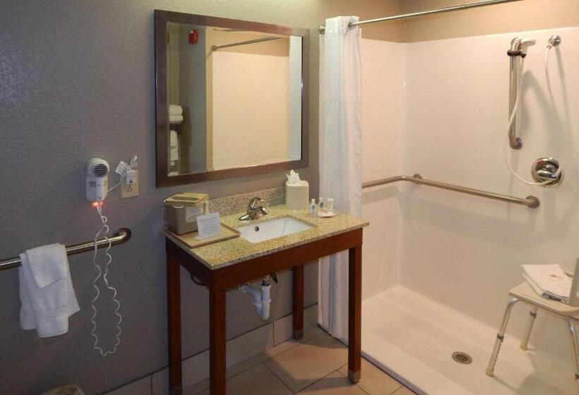 장애인을 위한 스위트, Comfort Inn & Suites Las Cruces Mesilla