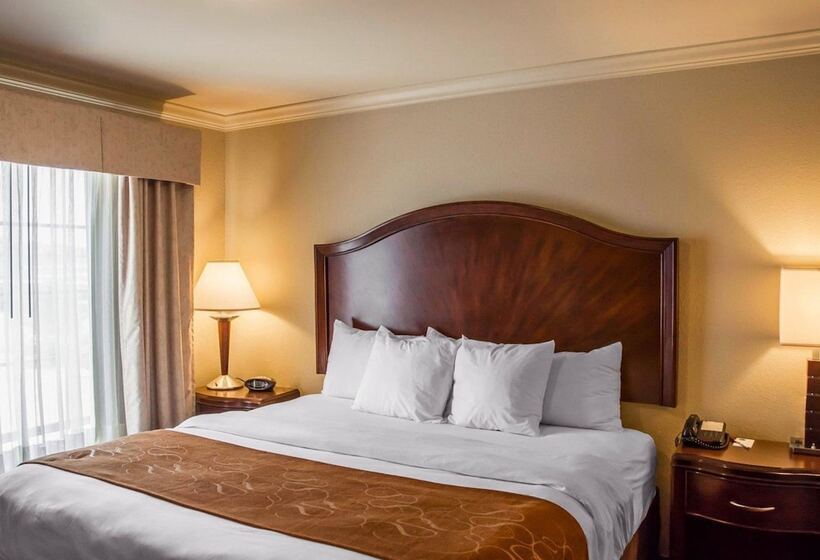Люкс, Comfort Suites Cincinnati North
