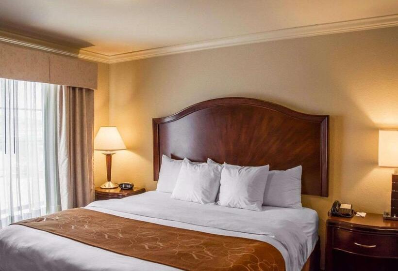 Люкс Адаптированный для Инвалидов, Comfort Suites Cincinnati North