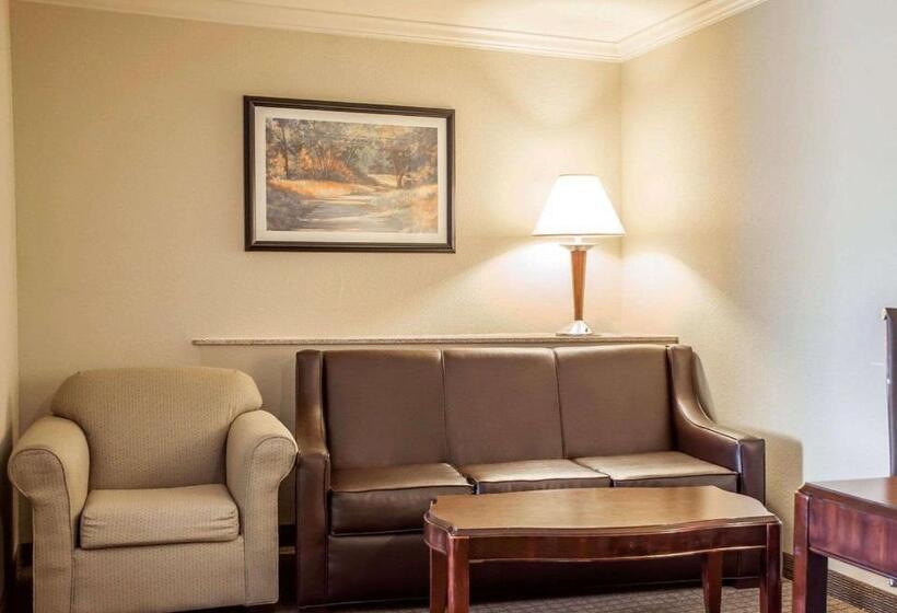 Люкс Кровать Кинг, Comfort Suites Cincinnati North
