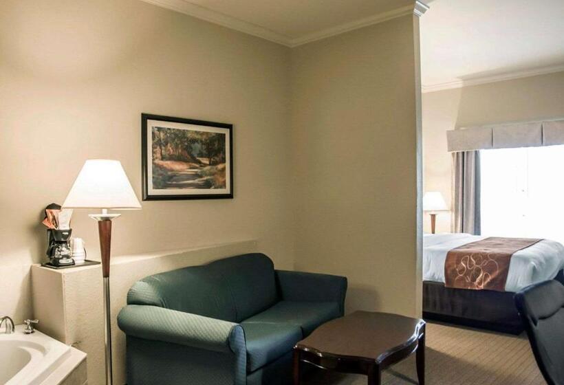 Люкс Кровать Кинг, Comfort Suites Cincinnati North