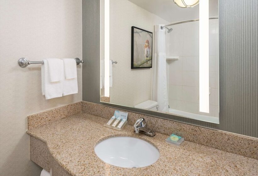 اتاق استاندارد, Hilton Garden Inn Scottsdale North/perimeter Center