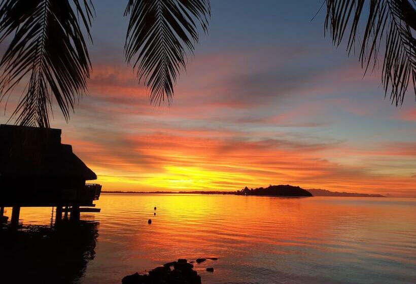 بانگلوی استاندارد, Maitai Bora Bora