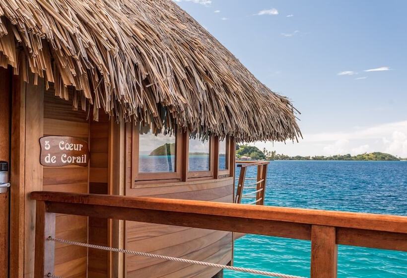 بانگلوی استاندارد, Maitai Bora Bora