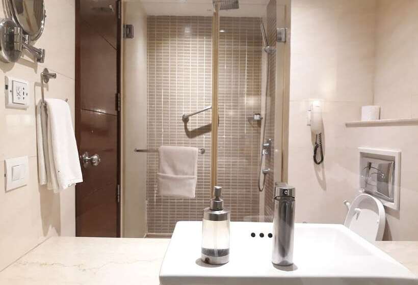 高级大房间, Park Inn Gurgaon