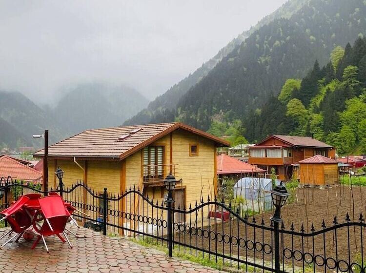 سوییت خانوادگی, Kuzey Suites