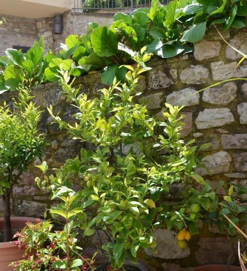 آپارتمان 2 خوابه, B&b La Terrazza Del Subasio