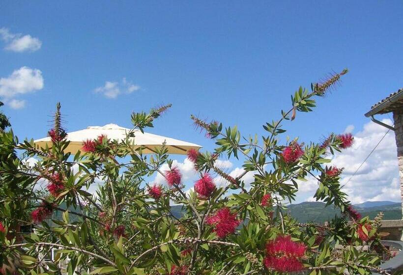 آپارتمان 1 خوابه, B&b La Terrazza Del Subasio