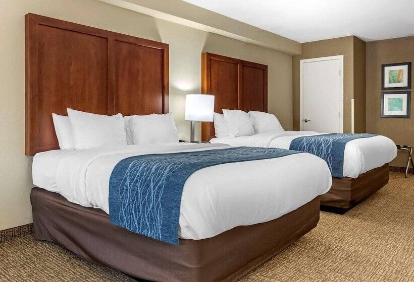 Номер Стандарт 2 Двуспальные Кровати, Quality Inn & Suites Spring Lake   Fayetteville Near Fort Liberty